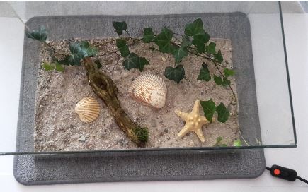 Aquarium oder Terrarium temperieren.
