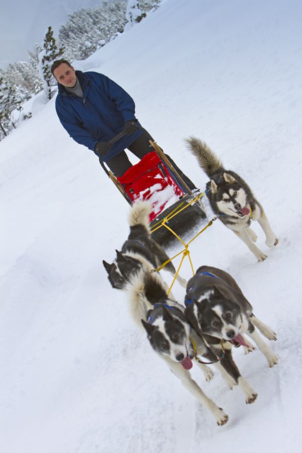 Husky Workshop fr jedermann. Hundeschlitten selber fahren