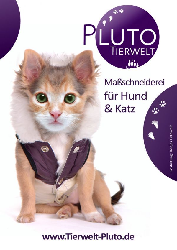 Pluto Tierwelt auf der Kunstnacht Passau 2014!