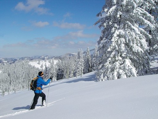 Ferienwohnungen Tirol sterreich - Kitzbhler Alpen