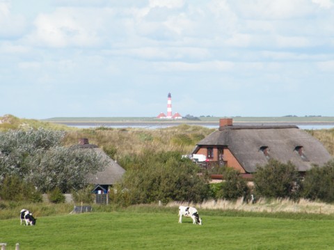 Ferienhaus Strandperle in St. Peter-Ording