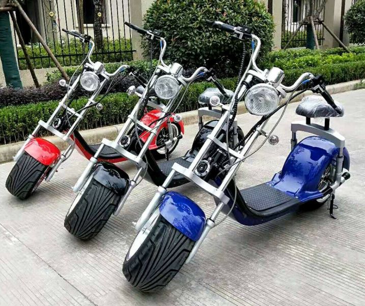 3000 Watts Harley Citycoco Electric scooter fat tyres