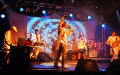 Partyband Orange Sugar Cubes